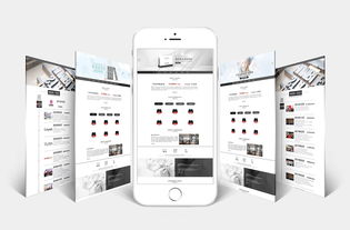 沁瑞国际 卓越网站设计与开发的融合之道